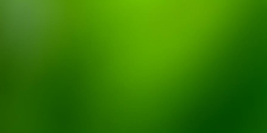 Close-up of fresh tea leaves with soft organic textures